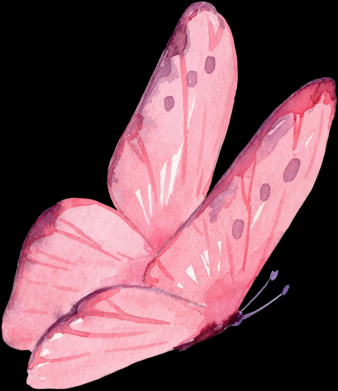 Butterfly Pink