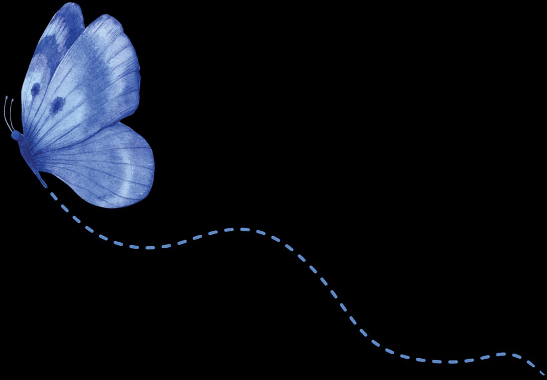 blue-butterfly