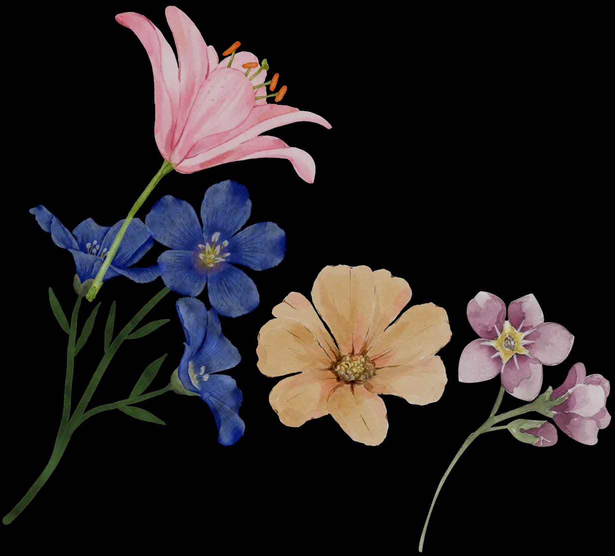 flowers